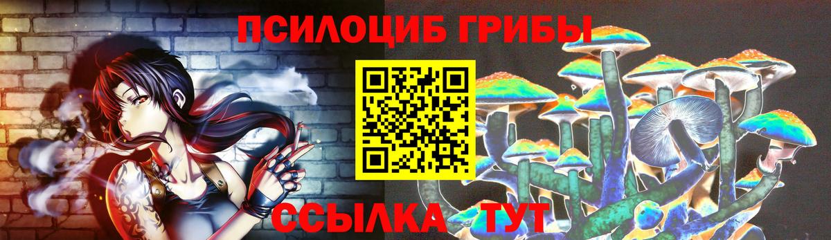 Псилоцибиновые грибы прущие грибы Гудермес