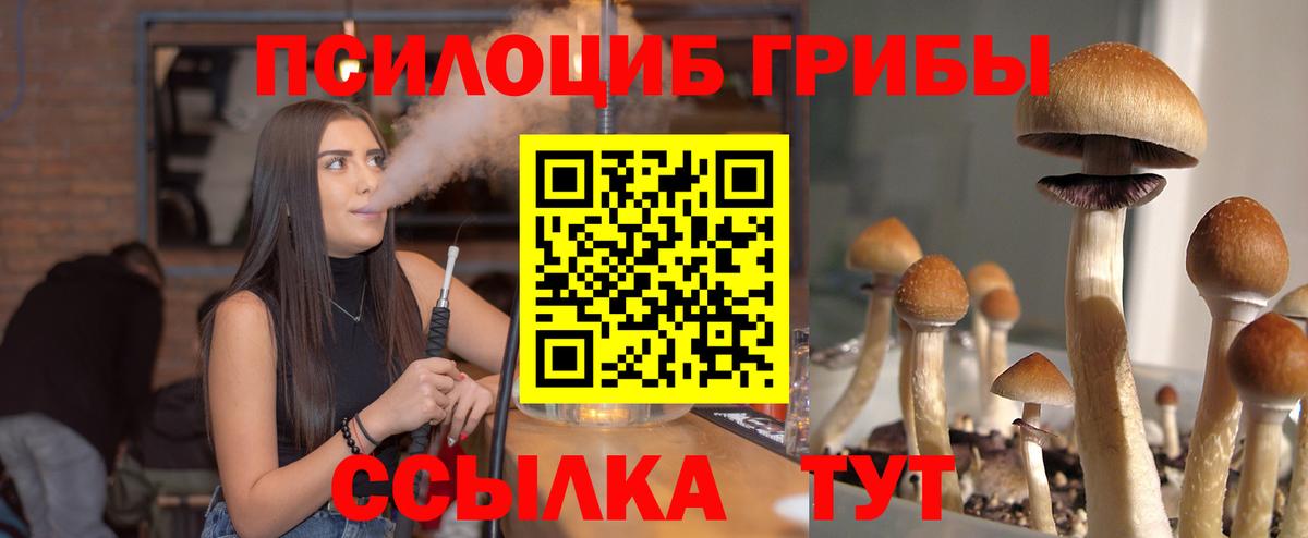 Гудермес  Псилоцибиновые грибы GOLDEN TEACHER  Вход с VPN 